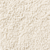 Pebble T221
