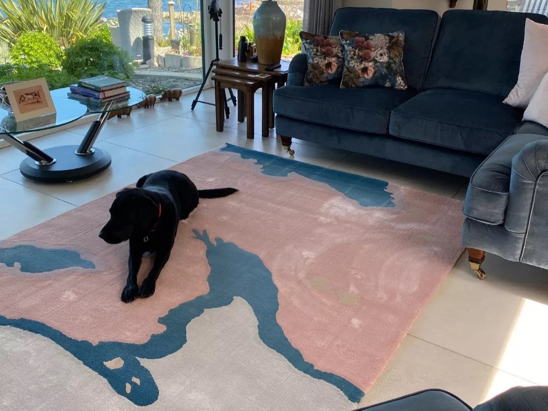 A map of Belfast Lough in a living room that overlooks it